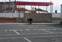 IMG_9685