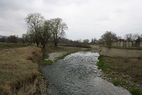 IMG_0091