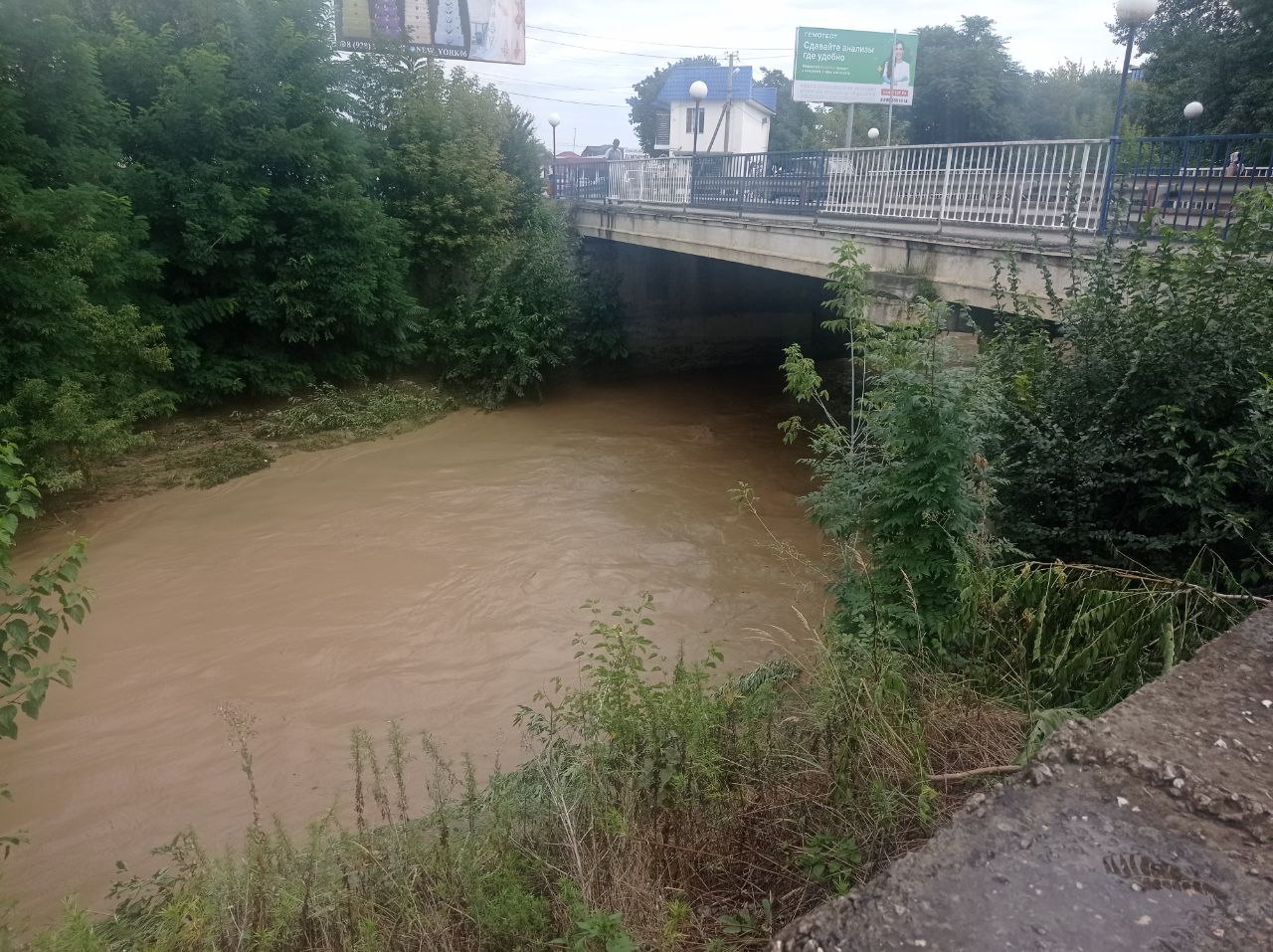 photo 2022 08 09 00 39 48