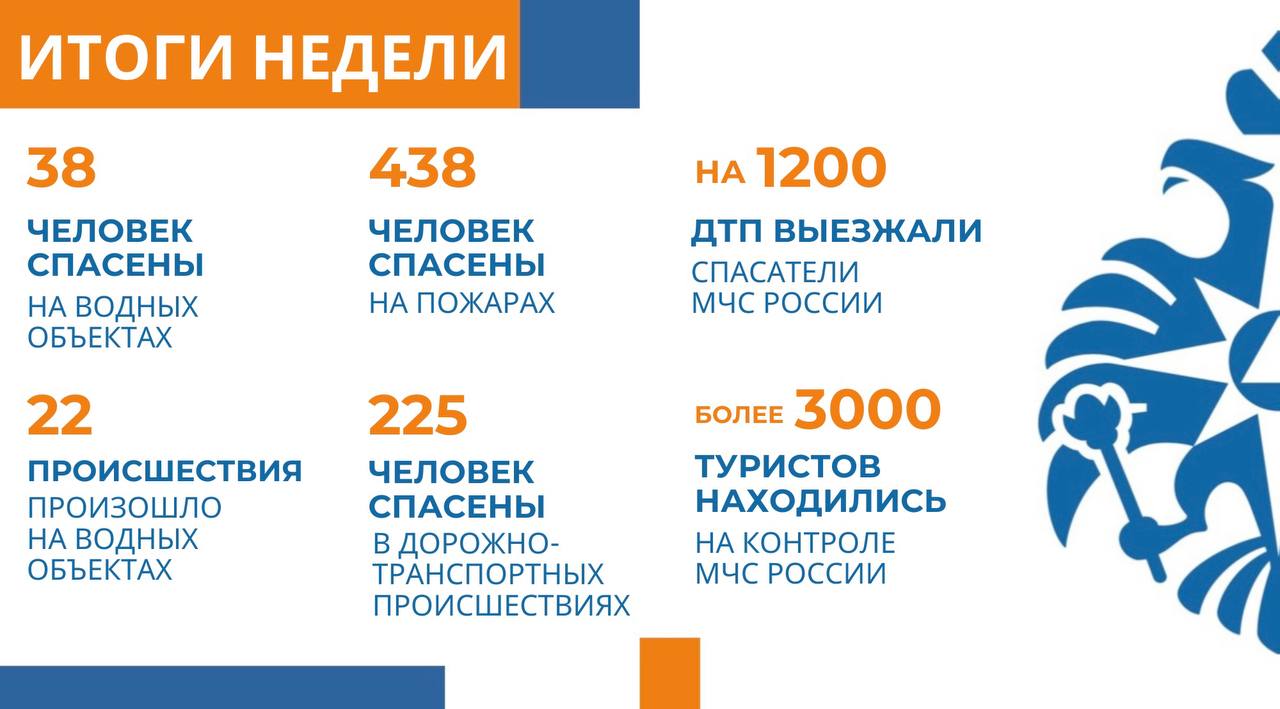 сводка 
