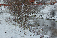 DSC00580