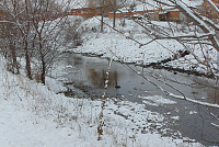 DSC00584