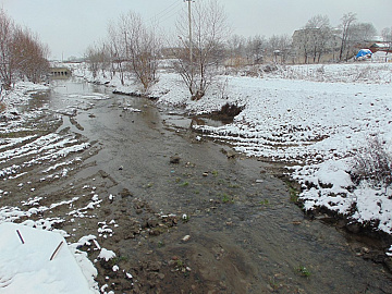 DSC00560