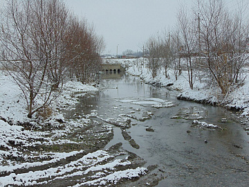 DSC00562