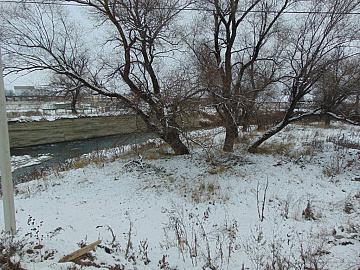 DSC00602