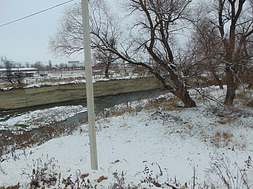 DSC00606