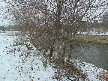 DSC00601