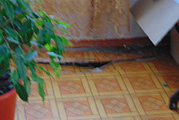 DSC00674