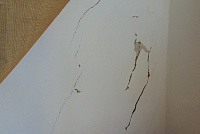 DSC00669