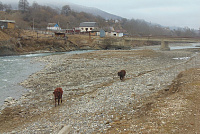 DSC01075