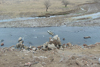 DSC00966