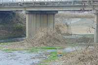 DSC00979