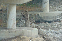 DSC01112