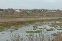 DSC00950