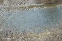 DSC01020
