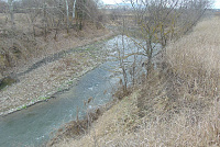 DSC00994