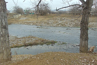 DSC01008