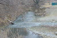DSC00997