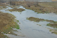 DSC00953