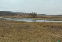 DSC00960