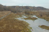 DSC00954