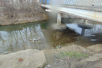 DSC01041
