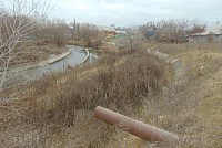 DSC01021