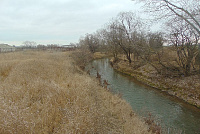 DSC00991