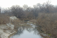 DSC01006