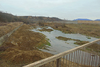 DSC00952