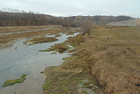 DSC00958