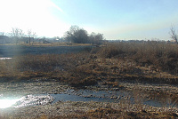 DSC00923