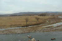 DSC00969