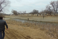 DSC00983