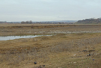 DSC00962