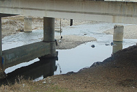 DSC00939
