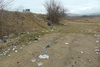 DSC00981