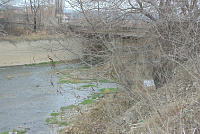 DSC00977