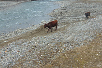 DSC01076
