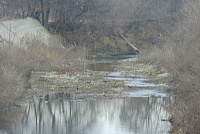 DSC01005