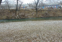 DSC01011