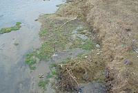 DSC00957