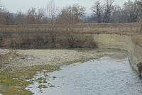 DSC00975