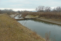 DSC01003