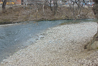 DSC01010