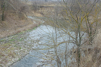 DSC00993