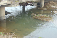 DSC00951