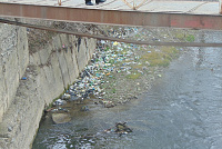 DSC01050