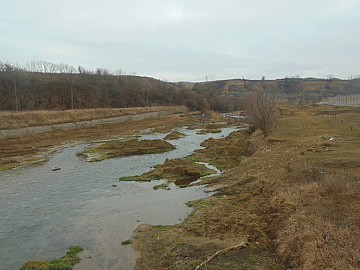 DSC00959