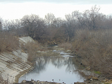 DSC01006
